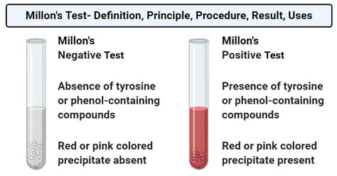 millon's test for protein|Methods for Rapid Screening of Biologically Active Compounds .